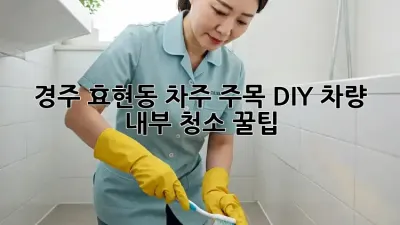 ✨ 경주 효현동 차주 주목! DIY 차량 내부 청소 꿀팁 🍯